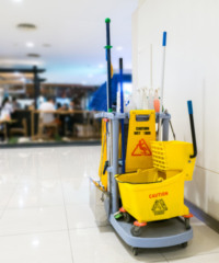 Untitled design - 2026-02-12T153232.651